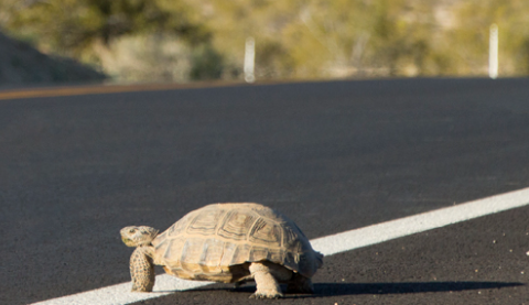 Education Corner – 4/3/26