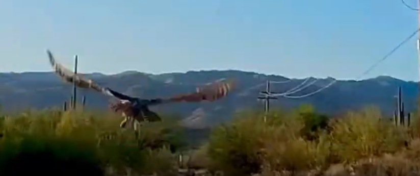 Patient of the Week: 1/16/26