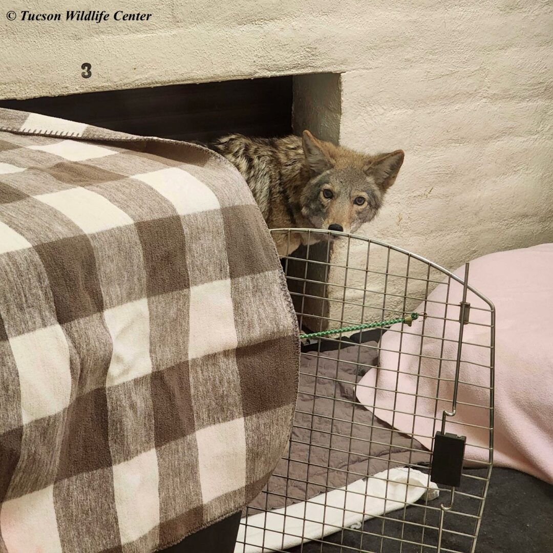 Patient of the Week: 1/23/26