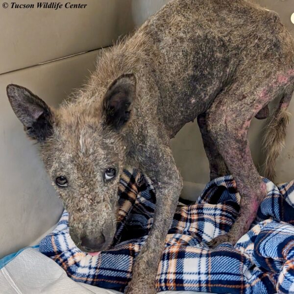 Patient of the Week: 2/20/2026