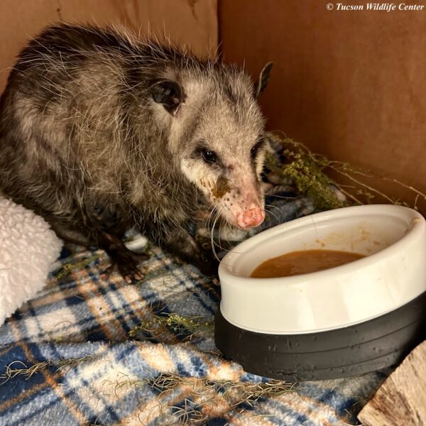 Patient of the Week: 2/27/2026