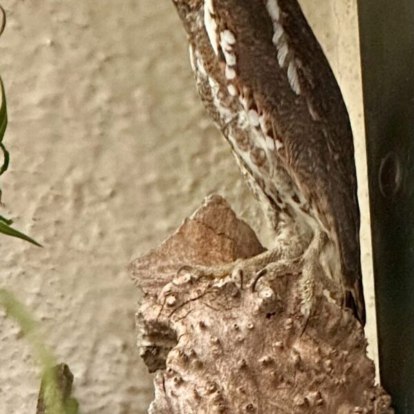 Patient of the Week: 3/20/2026