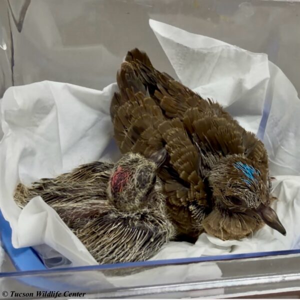 Patient of the Week: 3/6/2026