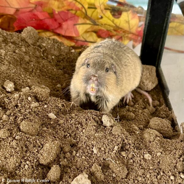 Patient of the Week: 4/10/2026