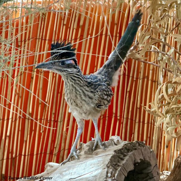 Patient of the Week: 4/24/2026