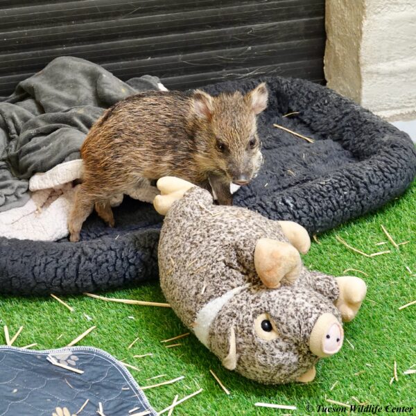 Patient of the Week: 4/3/2026