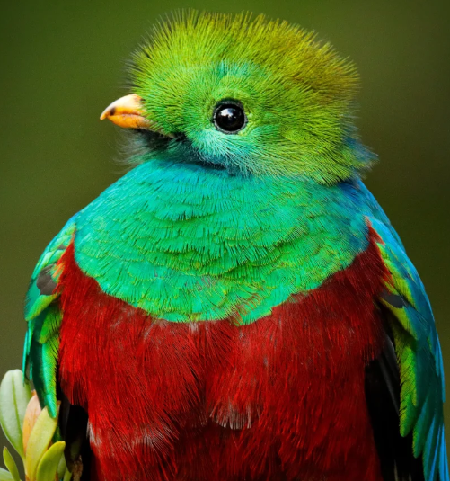 Education Corner: 1/23/2026