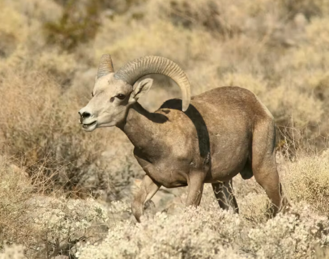 Education Corner – 3/13/26