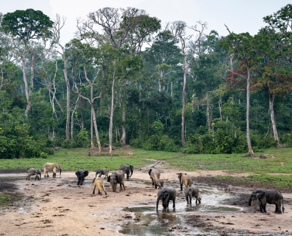 Education Corner – 4/10/26