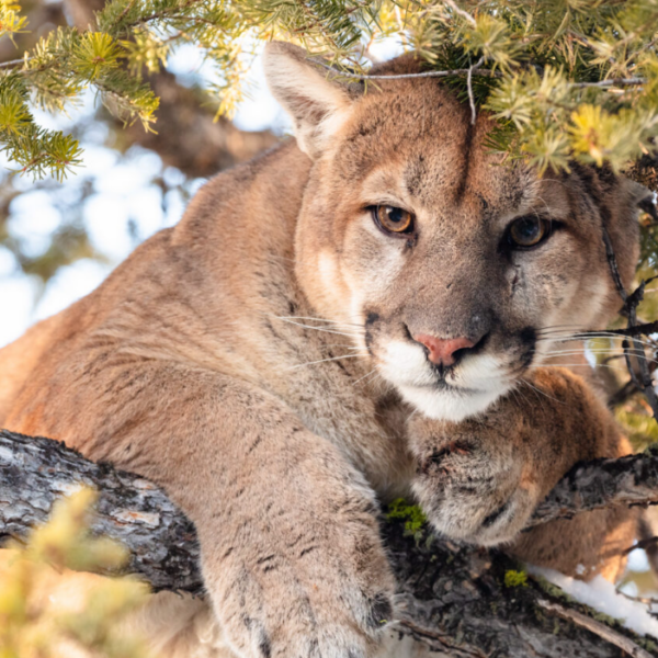 Education Corner – 4/24/26