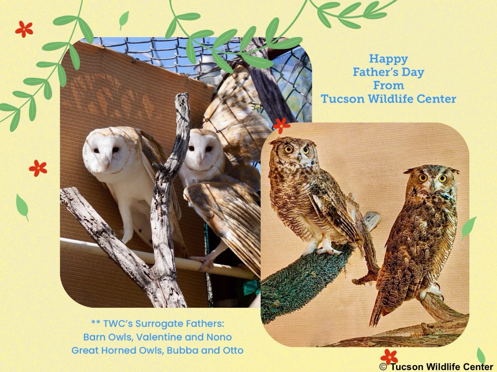 Happy Father's Day - Tucson Wildlife Center