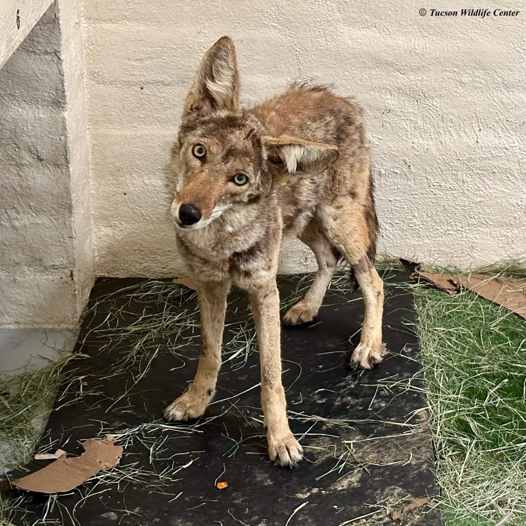 Patient of the Week: 05/09/25