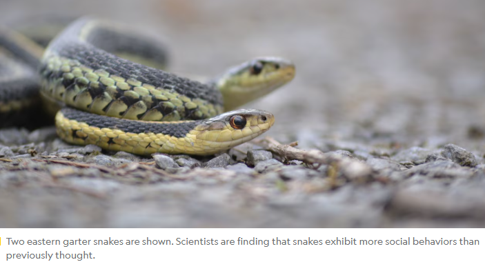 Education Corner: 11/7/25