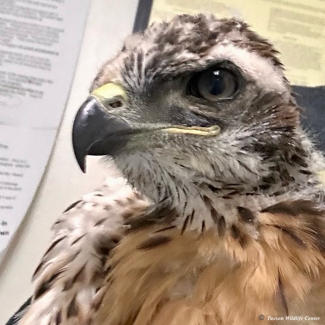 Patient of the Week: 05/02/25