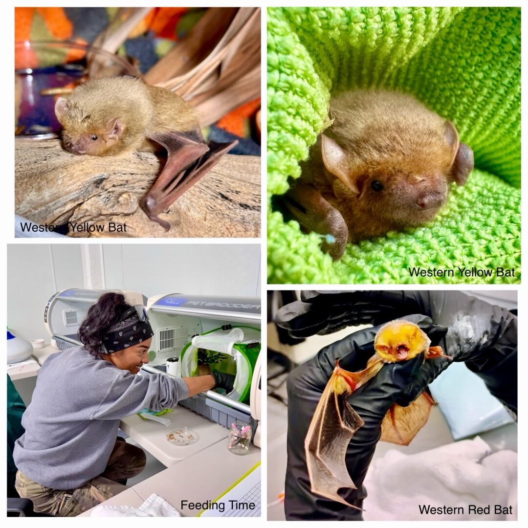 Patient of the Week: 1/9/26