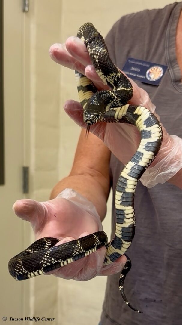 Patient of the Week: 11/7/25