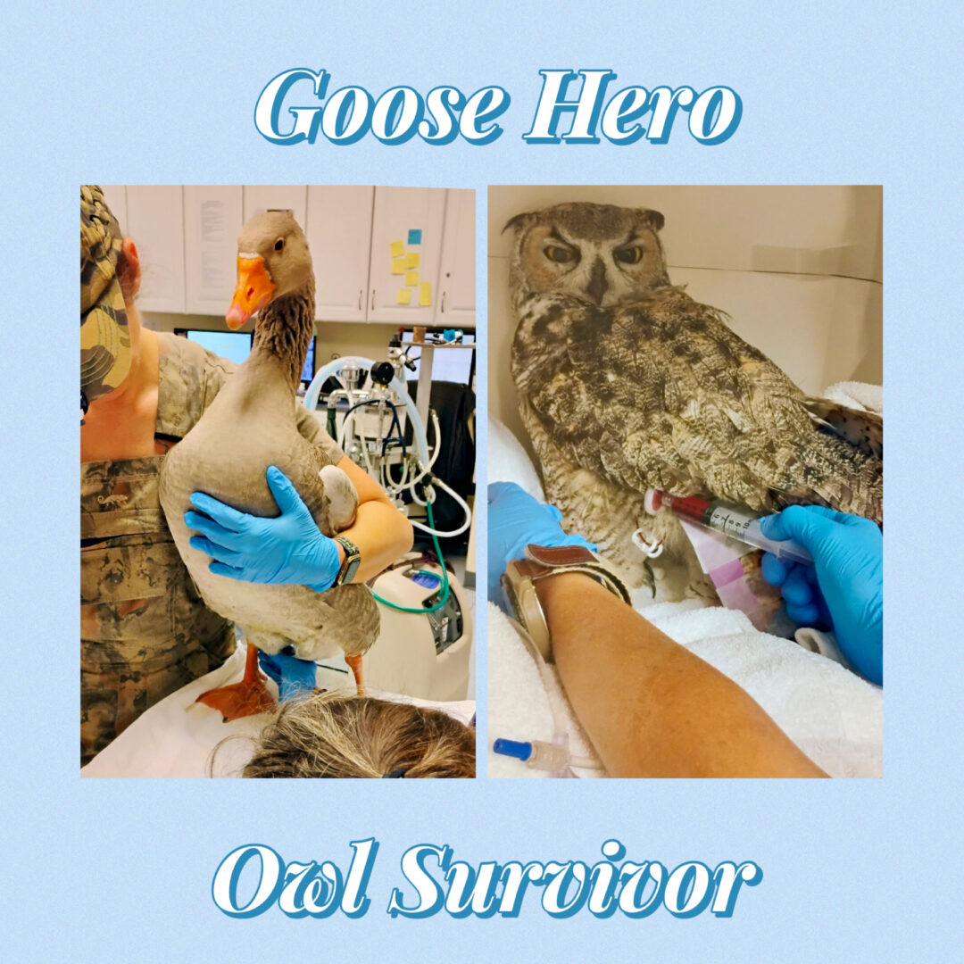 Patient of the Week: 12/5/25