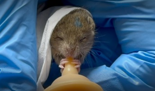 Patient of the Week: 12/12/25