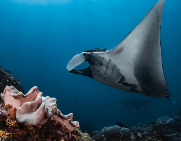 Education Corner: 12/12/25