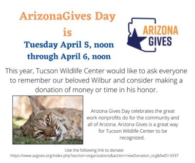 Coming soon: Arizona Gives Day 2022 - Tucson Wildlife Center